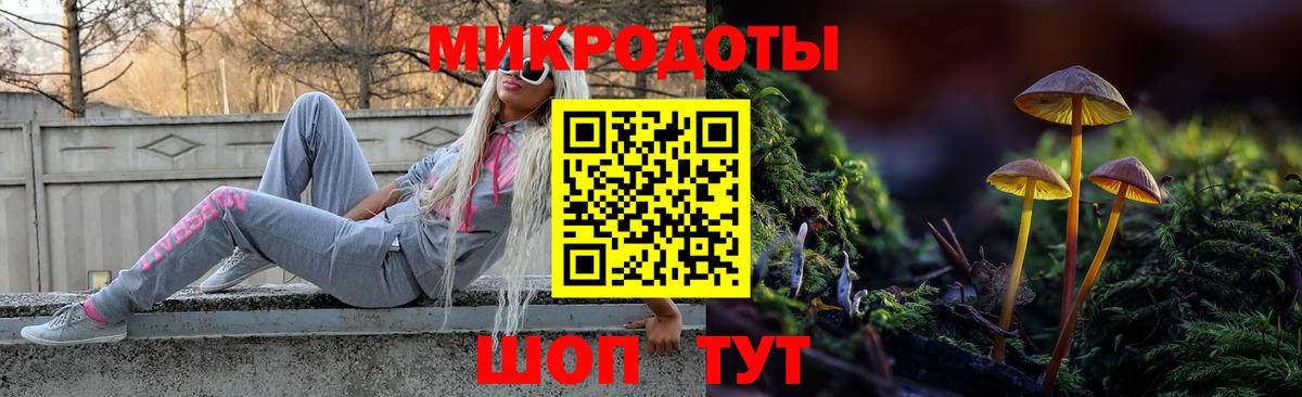 Псилоцибиновые грибы Psilocybine cubensis  Вход с VPN  Калининград 